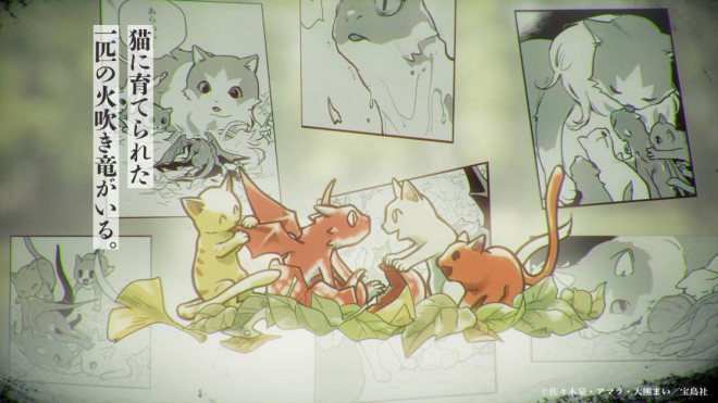 The Cat and the Dragon